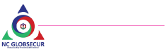 Riskconsulting